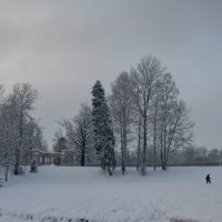Зимняя прогулка. :: Ирэна Мазакина