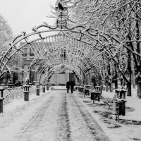 Зима в парке :: Александра Губина