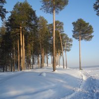 Зимний день. :: Олег Афанасьевич Сергеев