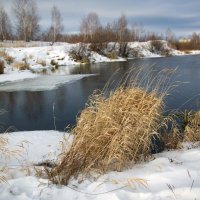 Декабрь.Начало зимы :: Иван Гиляшев