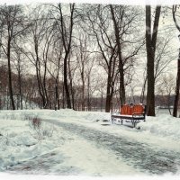 Скамейка в Гомельском парке :: Сергей Пилтник