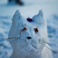 Снеговой котик :: Владимир Старосотников