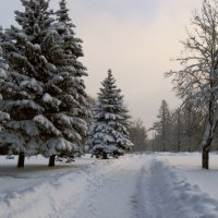 Эх, дороги :: Олег Попков