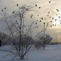 Ледяное деревце :: Яна Мазурова