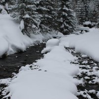 Красота Карпат :: Николай Смужаница