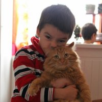 Любовь к коту :: Светлана Бегинина