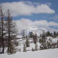 Зима в горах :: Маргарита Кретова