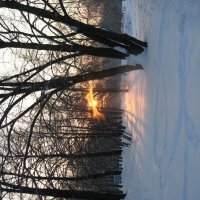 зимный восход :: Алла Дейч