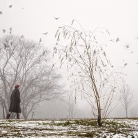 Прогулки в тумане :: Ирина Корпачева