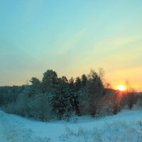 Восход солнца над зимним лесом. :: Александр Маликов