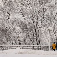 Цвет ЗИМЫ... :: Евгений "Белый" Печенный