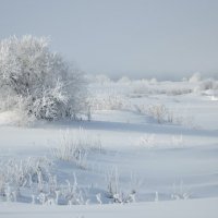 Девственность. :: Марина Демьяненко