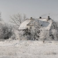 Иней :: Павел Дунюшкин