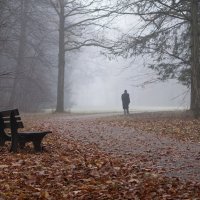 Фотография об одном немце, который медленно брел по туманному парку хо :: Иван Месенко