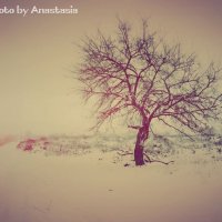 Зима на Кавказе :: Анастасия Колпакова