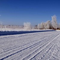 Зимняя дорога :: Ekaterina Shchurina