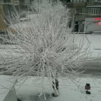 Зима :: Davit Aleksanyan