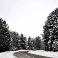 зимний пейзаж :: Ангелина Карасева