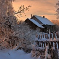 Морозное утро :: Николай Белавин