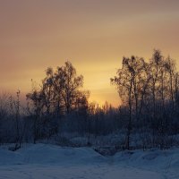 Зимний закат :: Boris Armaniak