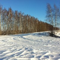 Зимняя дорога :: Евгеша Живчик