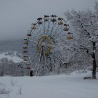 летний январь :: Анастасия Рогозина