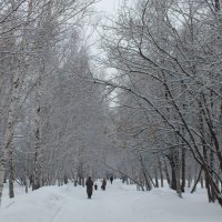 Утреняя прогулка в зимней сказке :: Константин Гибельгаус