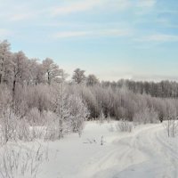 Зима на просторе :: Галина Клясюк