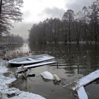 Зимнее утро на реке :: Alla Honig