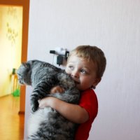 котик - это к счастью :: Юлия Паршакова