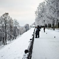 Ярославль, набережная Волги :: Николай Данилов