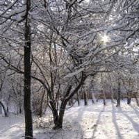 Зима :: Полина Кононова