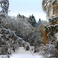 В парке (Киев) :: Виктор Марченко