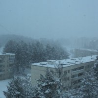 Снегопад :: Сергей Жигалёв