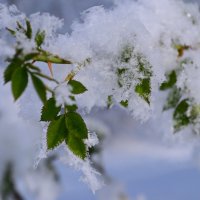 ... :: Александр Лонский