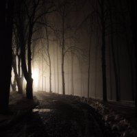 Туманная ночь :: Lara Tereschuk