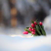 Весна встречается с зимою :: Наталья Лузинова