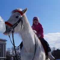 на коне :: владимир гребенников