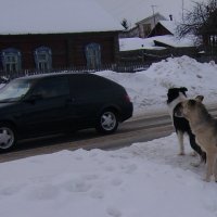 Пропустим! :: Виталий Ачча