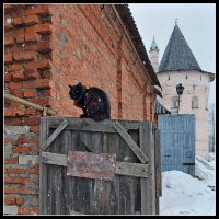 "Просьба дверью не хлопать!" :: Николай Белавин