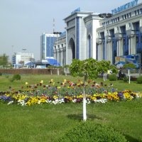 мой город - Ташкент :: Диля Урыксыбаева