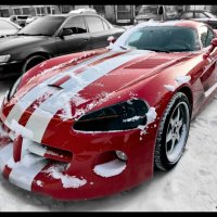 Dodge Viper :: Сергей Бережко