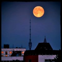 Москва Останкинская башня.Луна! :: Виталий Виницкий