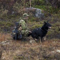 Постановка собаки на след :: Елена Валерьевна