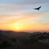 Полёт над Иерусалимом на рассвете :: Владимир Сарычев