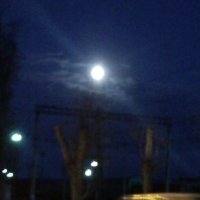 Вечерняя луна :: Елена Михайловна