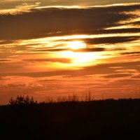 Закат солнца :: Ольга Черпухина
