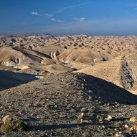 Иудейская пустыня :: Alex Alty