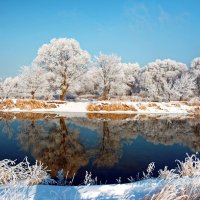 Отражение. :: Евгений Кузнецов