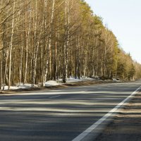 Свет и тень от весеннего солнца :: Надежда Абрамян